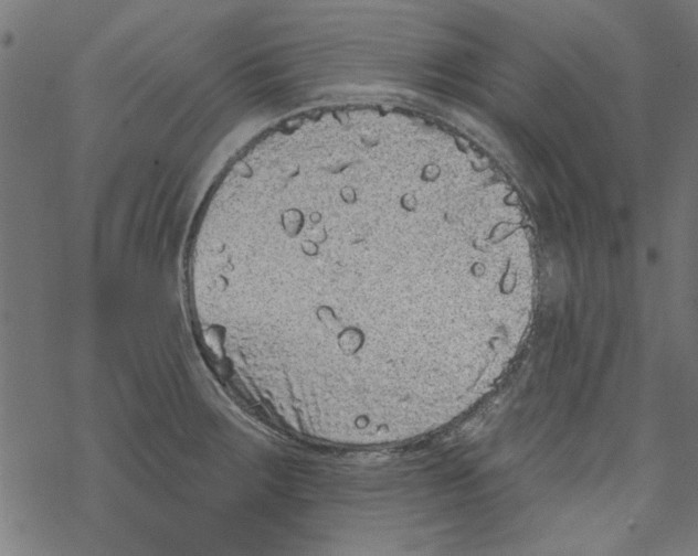 X0000067901283200605111908