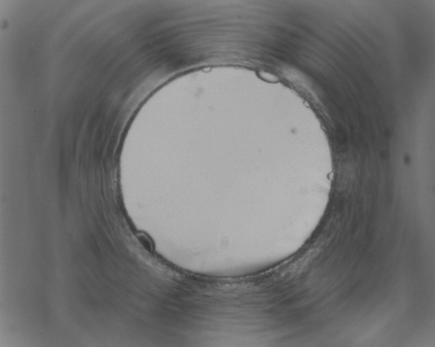 X0000067901284200605111908