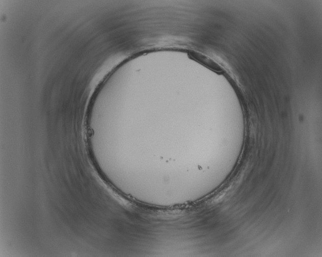 X0000067901285200605111908