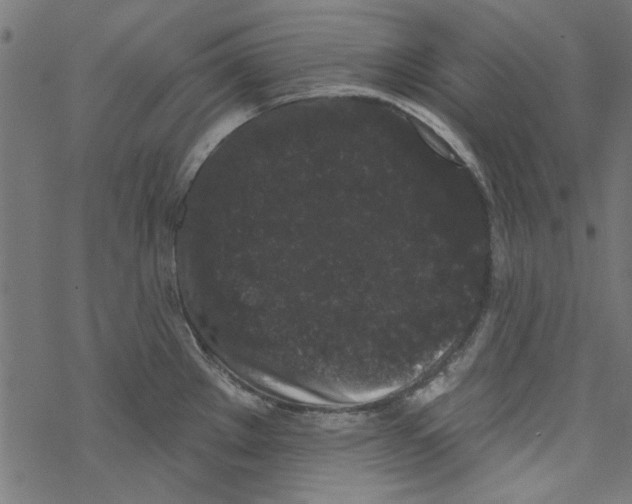 X0000067901289200605111907