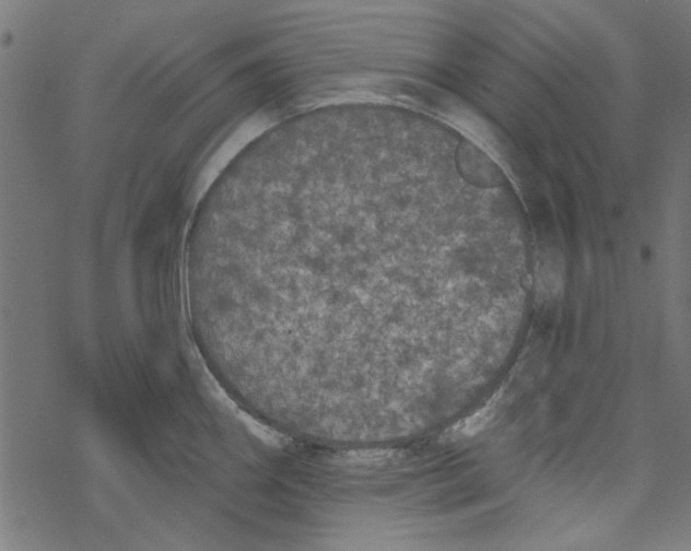 X0000067901290200605111907