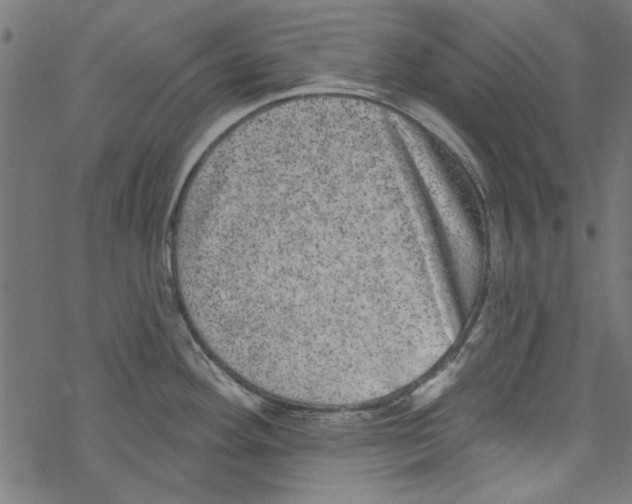 X0000067901292200605111907