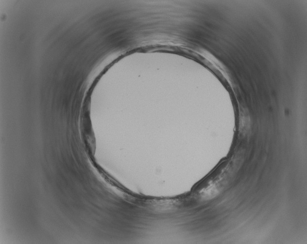 X0000067901293200605111907