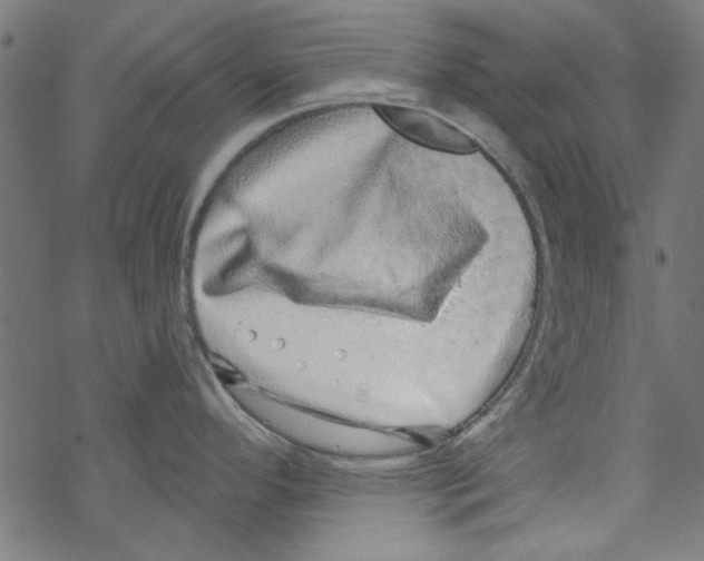 X0000067901296200605111907