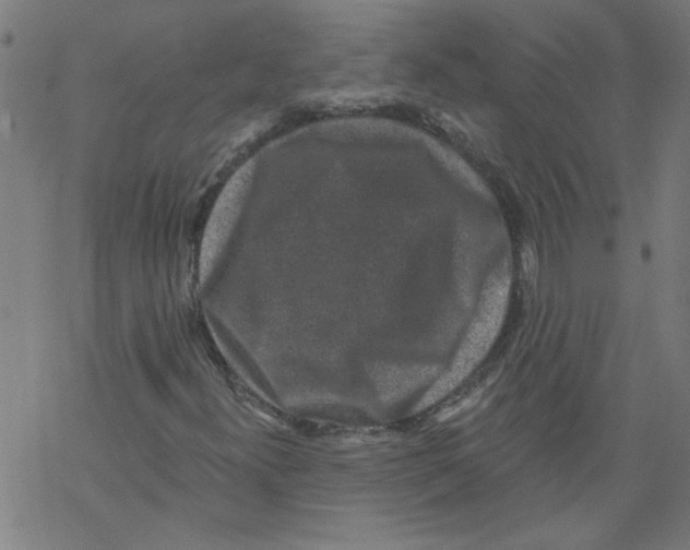 X0000067901300200605111907