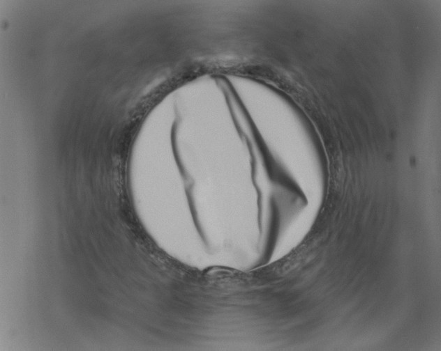 X0000067901301200605111907