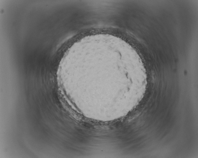 X0000067901302200605111907