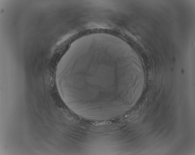 X0000067901303200605111907