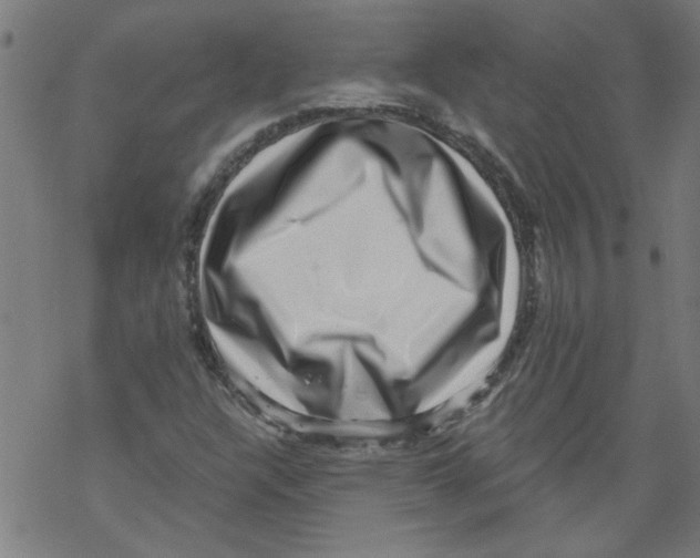 X0000067901304200605111907