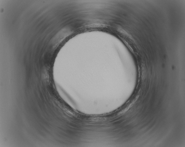 X0000067901305200605111907