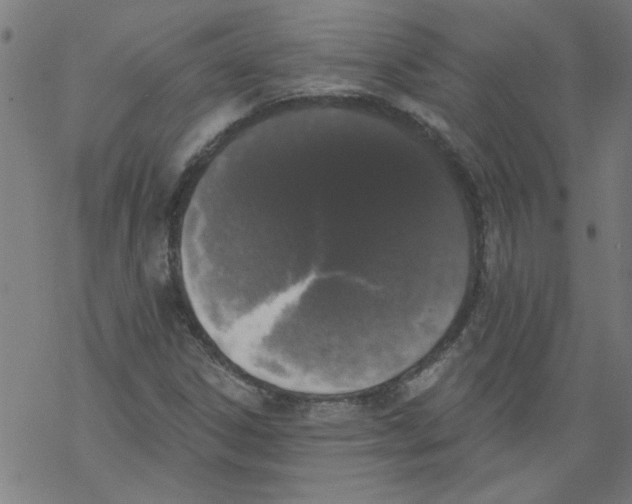 X0000067901306200605111907