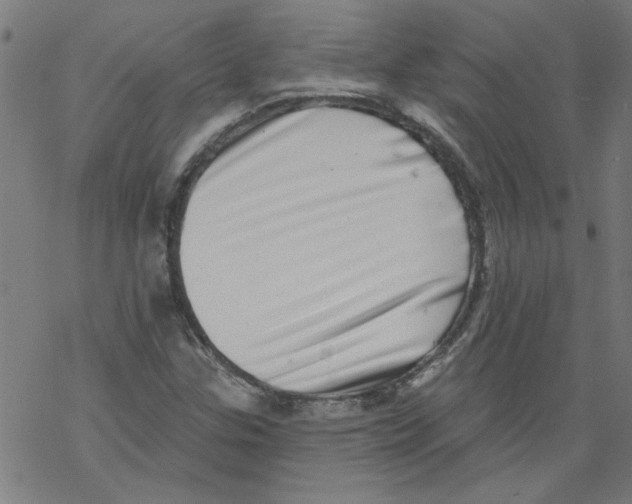 X0000067901307200605111907