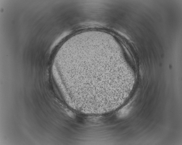 X0000067901309200605111907