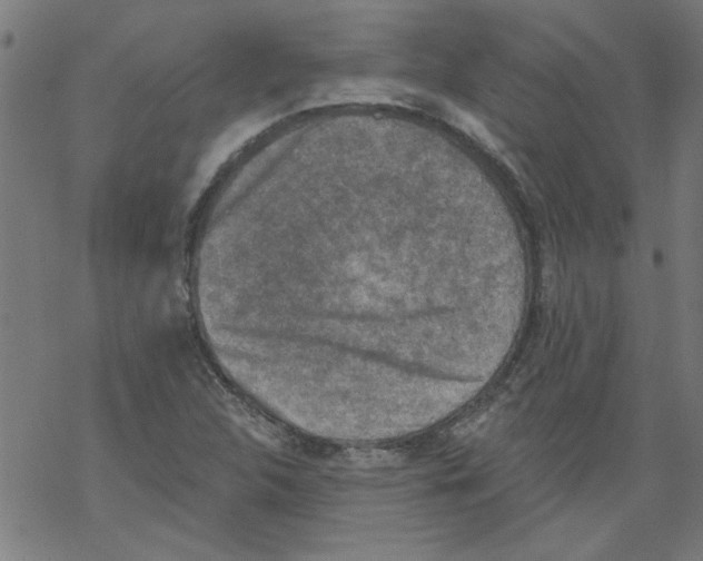 X0000067901312200605111907