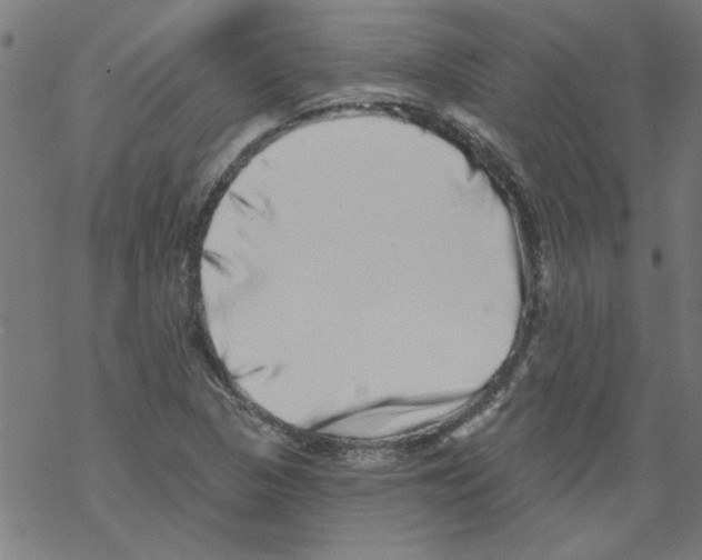 X0000067901313200605111907