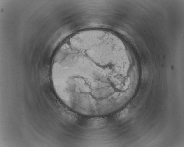 X0000067901314200605111907