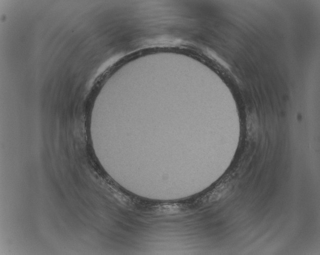 X0000067901315200605111907