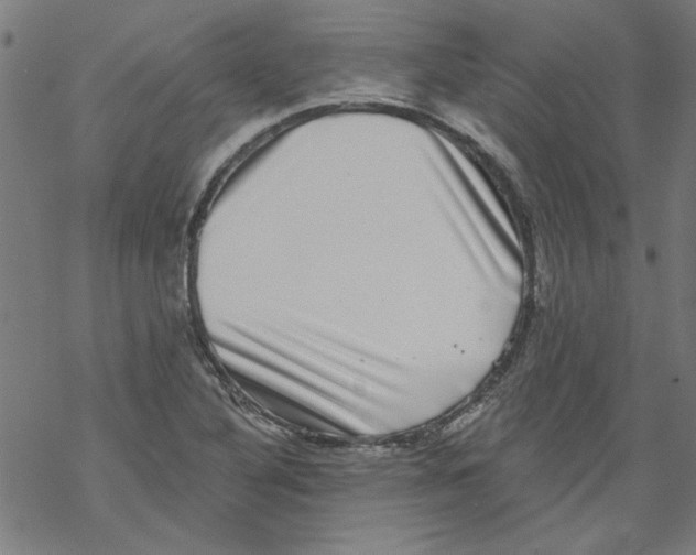 X0000067901316200605111907