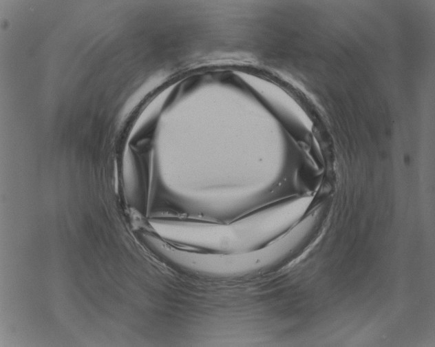 X0000067901317200605111907