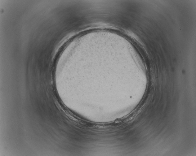 X0000067901318200605111907