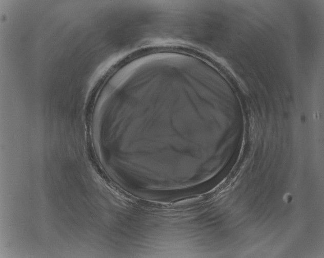 X0000067901319200605111907