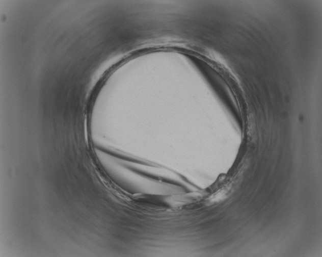 X0000067901320200605111907