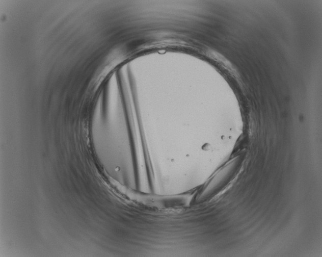 X0000067901321200605111907