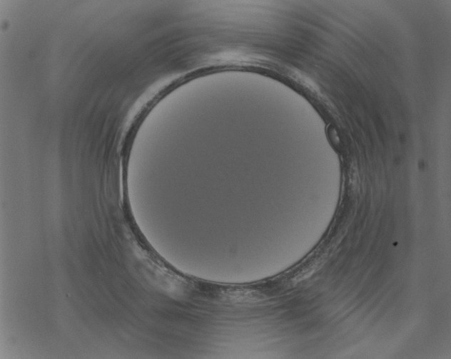 X0000067901323200605111907