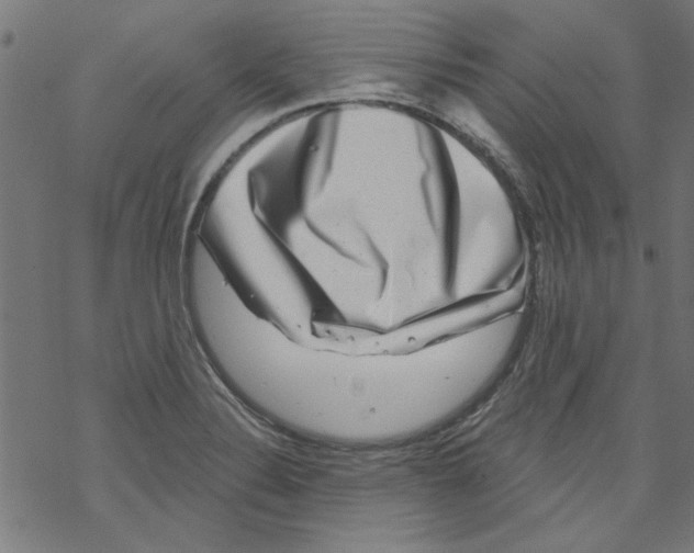 X0000067901324200605111907