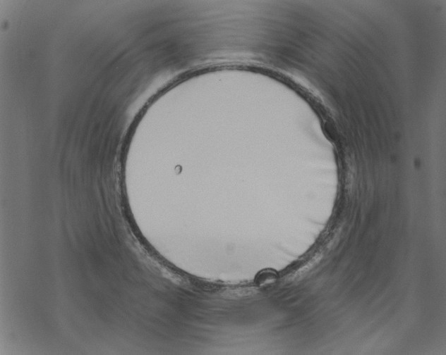 X0000067901325200605111907