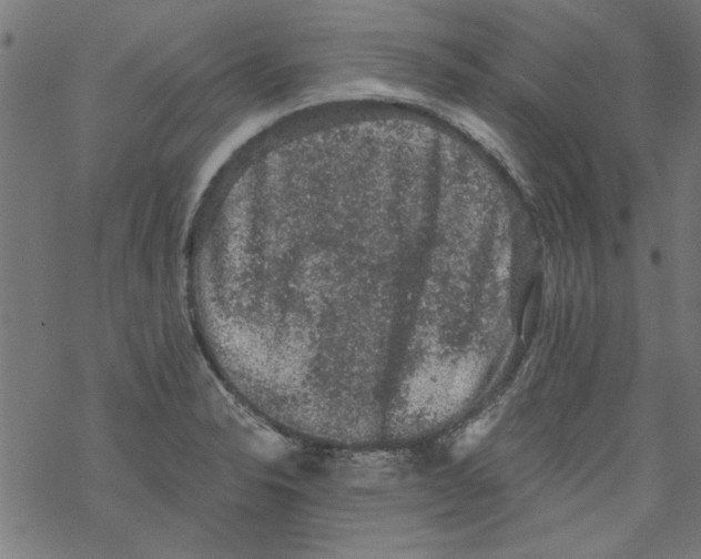 X0000067901326200605111907