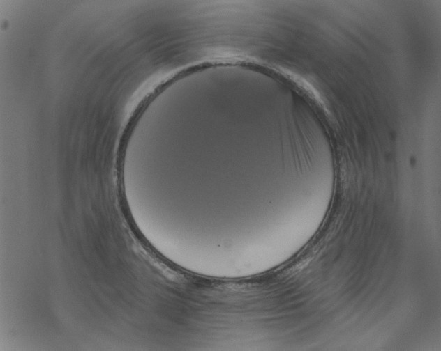 X0000067901327200605111907