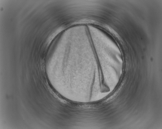 X0000067901329200605111907