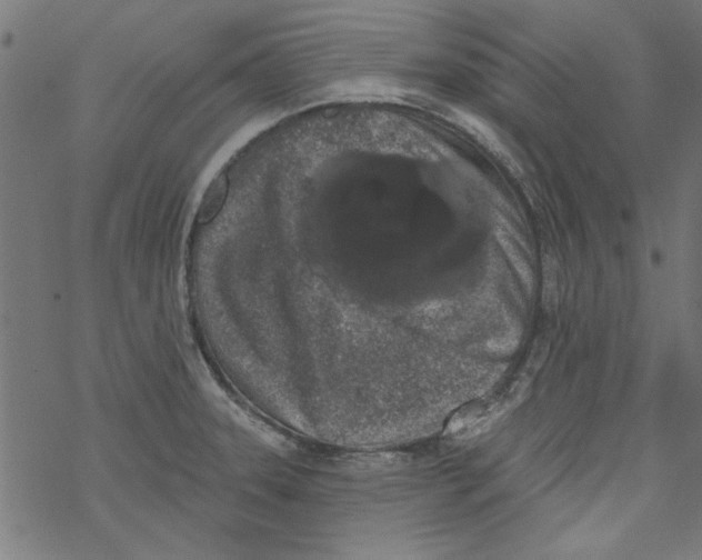 X0000067901331200605111907