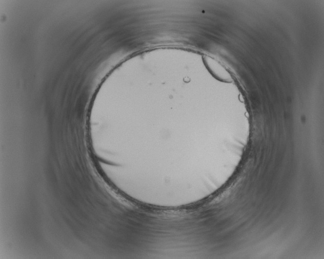 X0000067901333200605111907