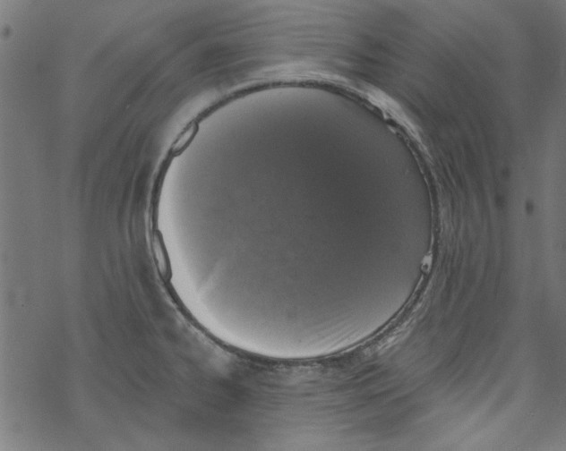 X0000067901334200605111907