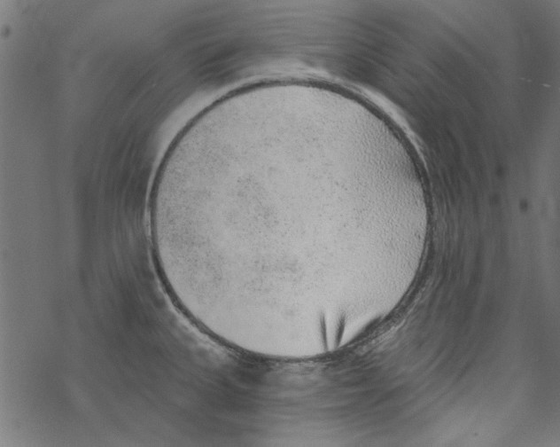 X0000067901335200605111907