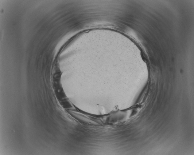 X0000067901336200605111907