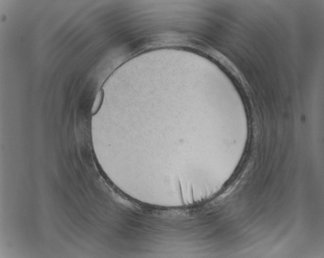 X0000067901337200605111907