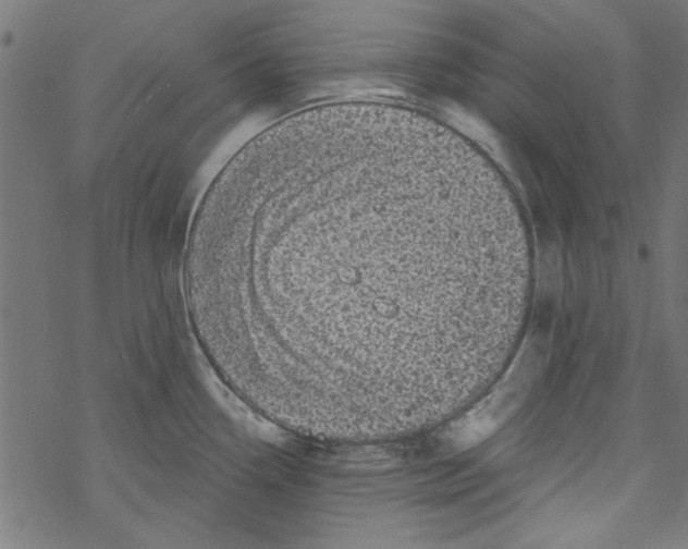 X0000067901338200605111907