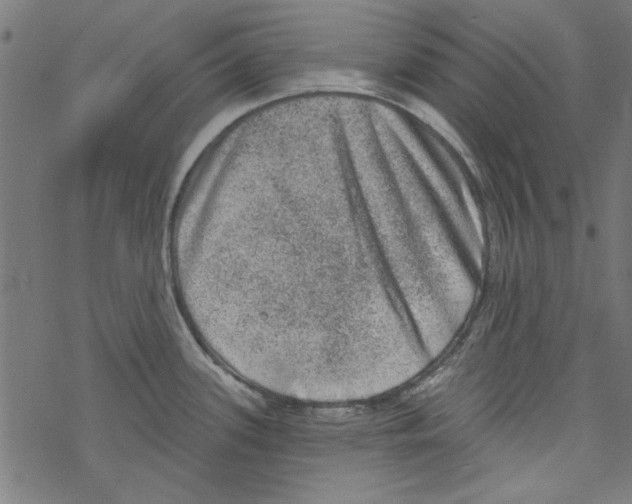 X0000067901339200605111907