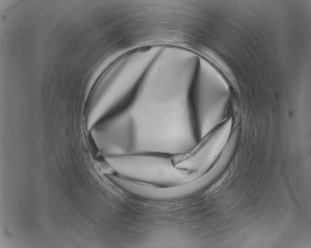 X0000067901340200605111907