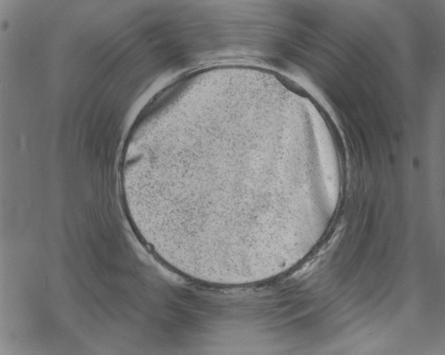 X0000067901341200605111907