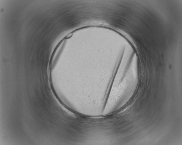 X0000067901343200605111907