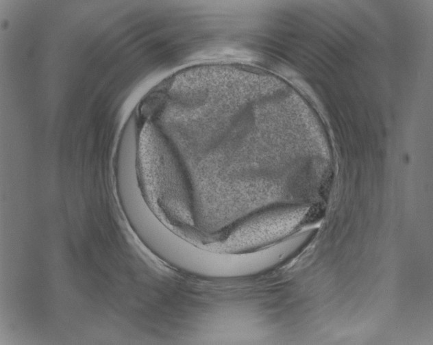 X0000067901344200605111907