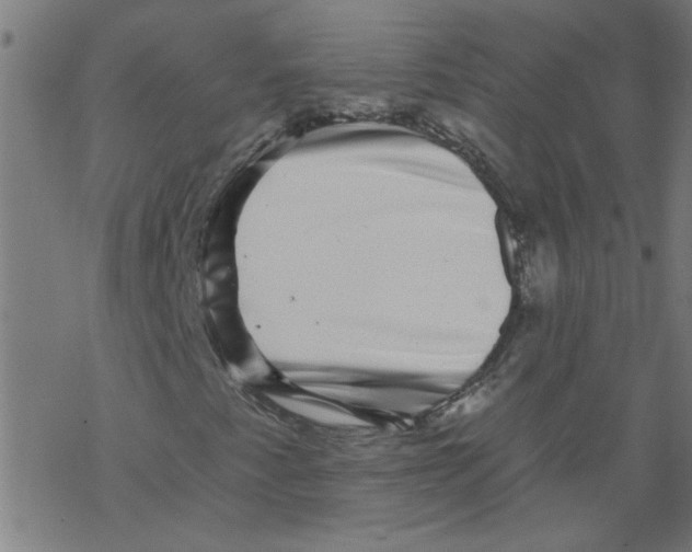 X0000067901345200605111907