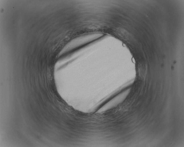 X0000067901347200605111907