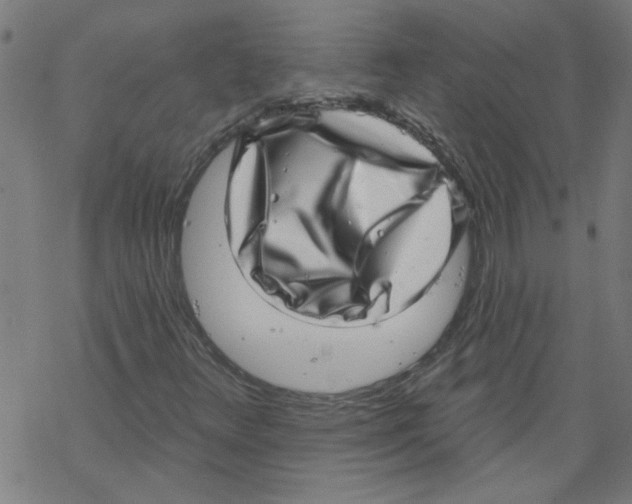 X0000067901348200605111906