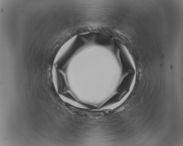 X0000067901349200605111906