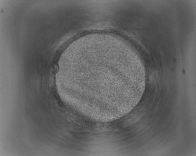 X0000067901350200605111906